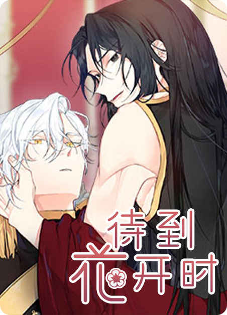 《魔法师皮塔漫画》-漫画完整版(全集免费阅读）